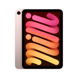 iPad mini Wi-Fi 256GB - 핑크 * MLWR3KH/A